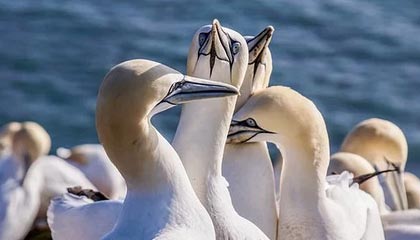 北京pk10计划-广东宏远从追到9分到崩盘20分:那一波换人,把胜利换给了辽宁